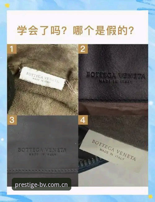 BV最新版本哪个好 揭秘BV最新版本哪个好:这些隐藏特性你未必知道